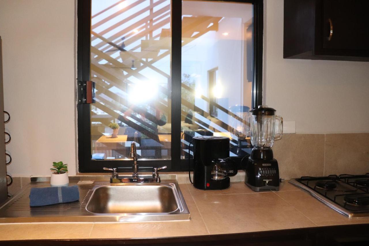 Hotel Jazuli San José del Cabo エクステリア 写真